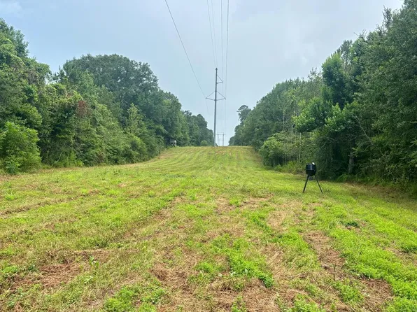 N/a David Allen, Greensburg, LA 70441