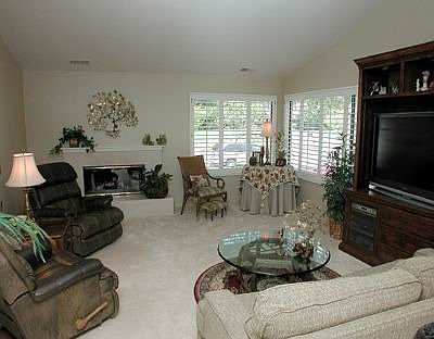 vaulted ceilings and gas fireplace