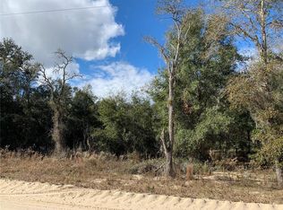 SE 150th Ave LOT 1, Williston, FL 32696