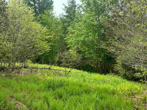 19 Casentino Ct, Davis, WV 26260