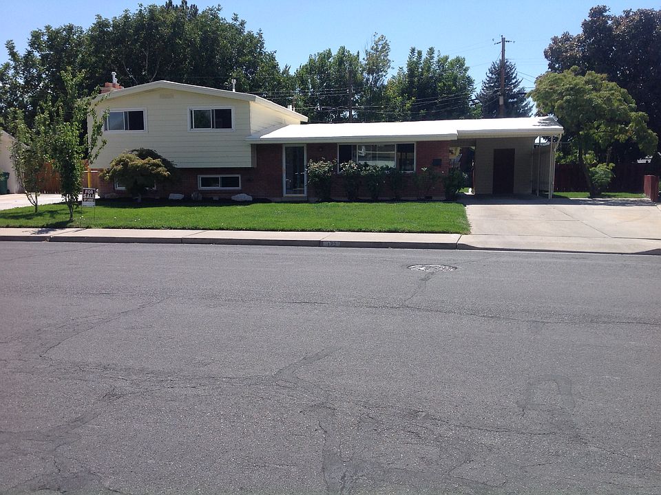 Carport shed & MORE driveway