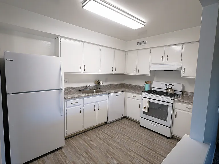 Delaire Landing Kitchen