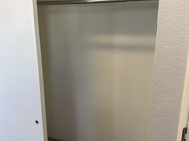 Front door coat closet