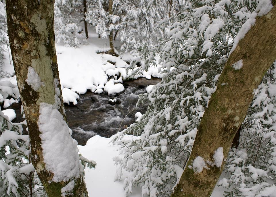 107th image of 740 Little Rock Creek Rd