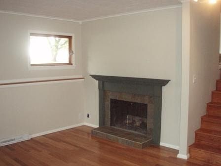 Living room fireplace