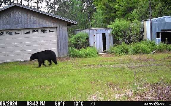 2nd image of 5110 Lake Winter Road