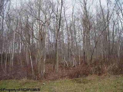 110 Lake Pointe Ln, Morgantown, WV, 26508