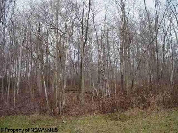 110 Lake Pointe Ln, Morgantown, WV 26508