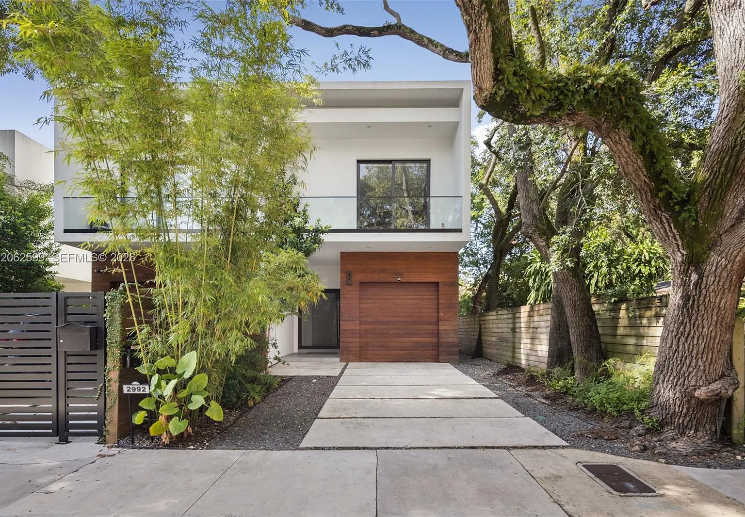 Palm Terrace — Photo 1