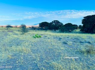 E Gunpowder 39.13 Acres Trl #40, Hereford, AZ 85615