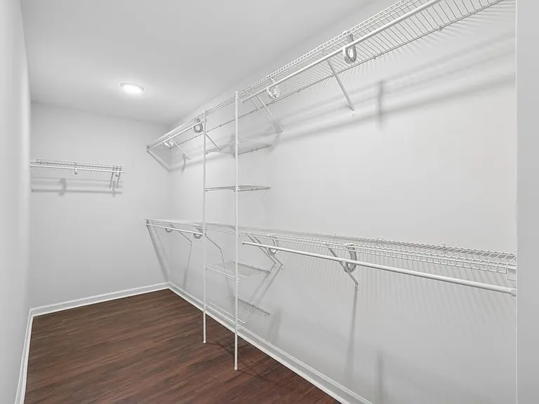 Primary bedroom with spacious walk-in closet