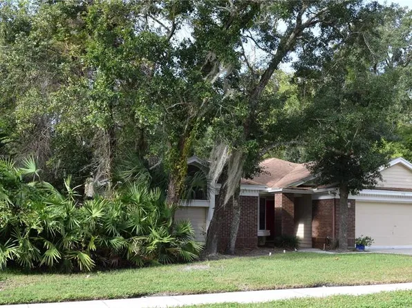 450 CASCADE LANE, PALM HARBOR, FL 34684