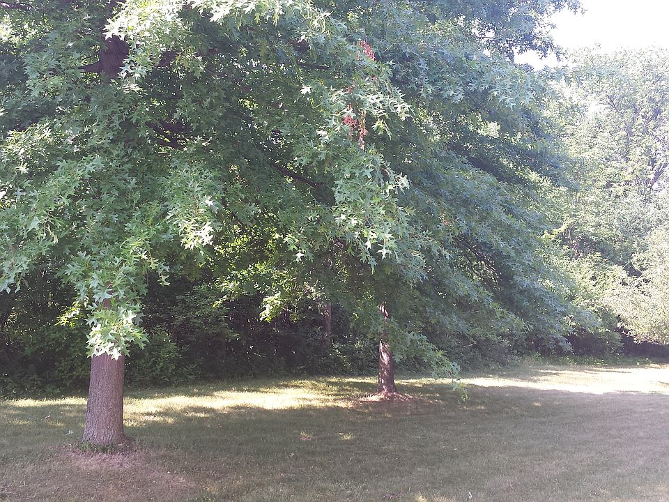 2nd image of Grassy Crk Lot 58