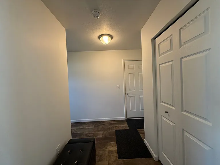 10906 Constant Dr — Photo 22