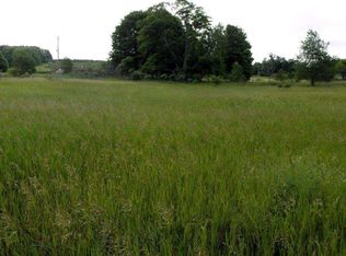 524 S Eldridge Rd, Benzonia, MI 49616