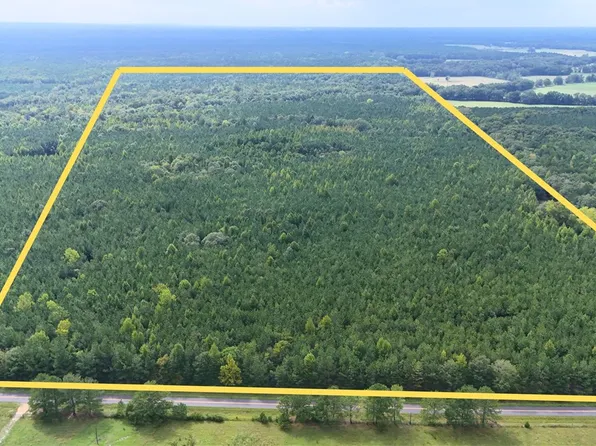 0 Wende Rd, Hurtsboro, AL 36860