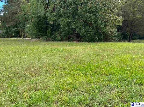 1005 S 6th St, Hartsville, SC 29550
