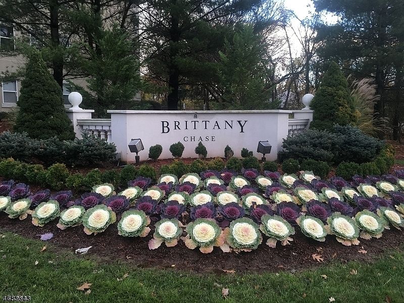1st image of 1205 Brittany Dr