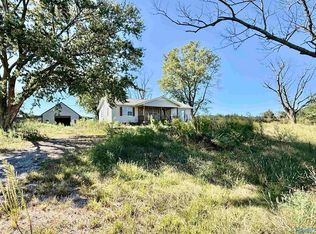254 Mount Sinai Rd, Horton, AL 35980