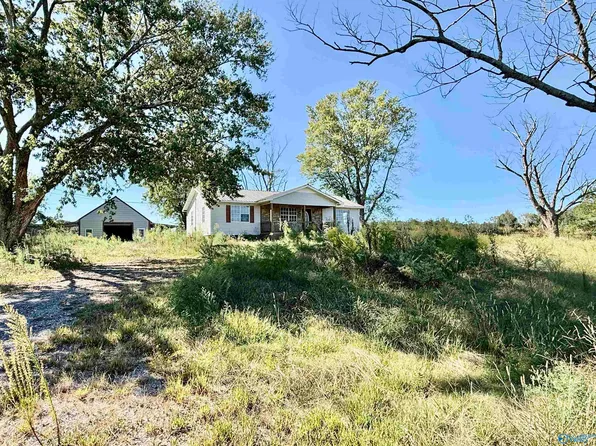 254 Mount Sinai Rd, Horton, AL 35980