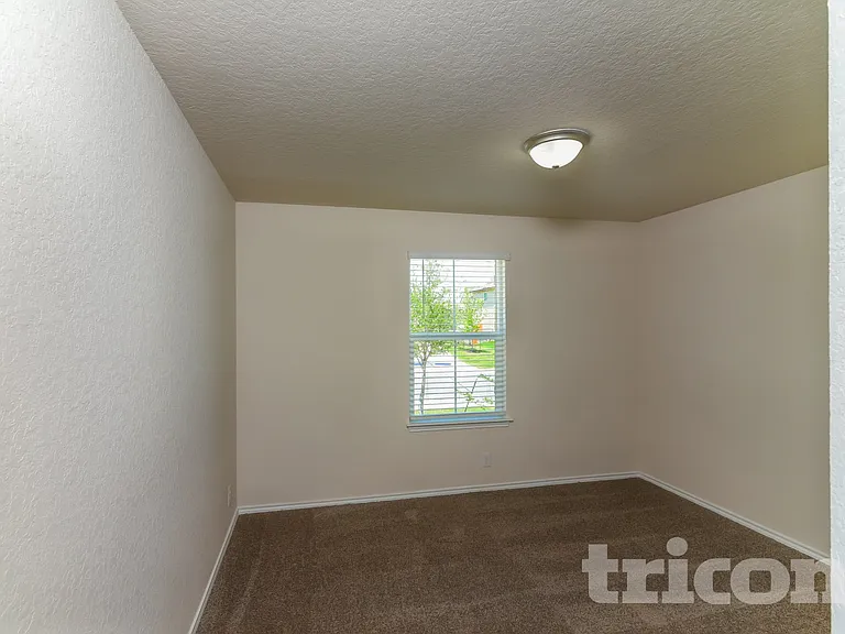 15406 Shortwing — Photo 11
