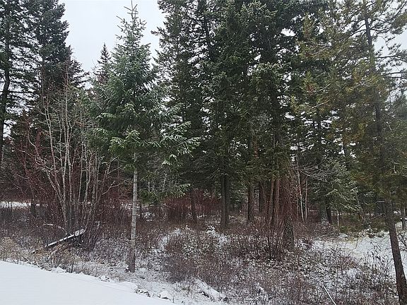 4th image of 172 Turnberry Ter