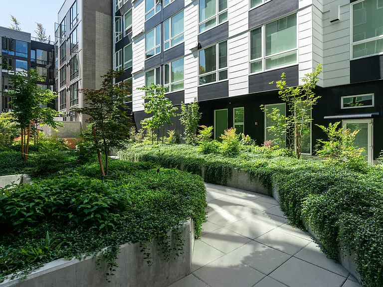 Lush Courtyard