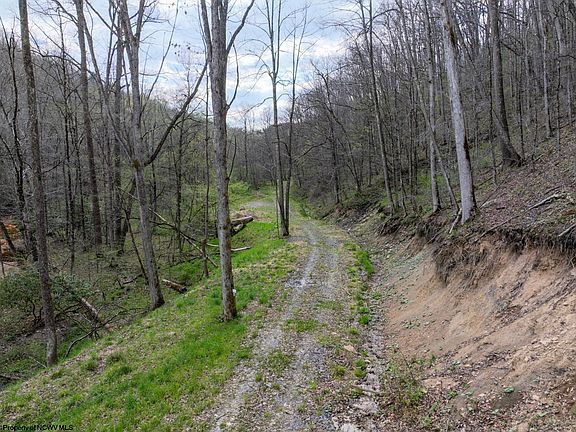 2nd image of LOT 1 Squires Run Rd