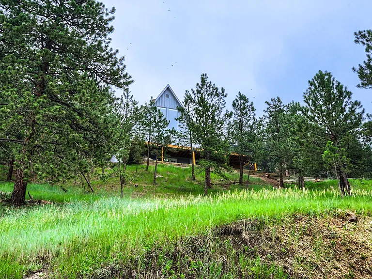 545 Bow Mountain Rd — Photo 33