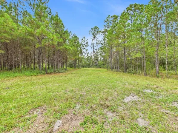 7440 Alton Wentworth Rd, Greenville, FL 32331