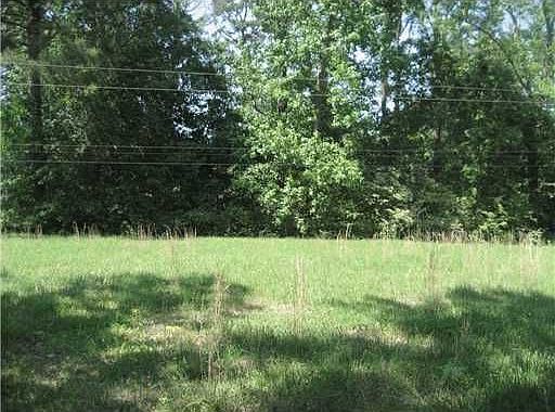 Front Side Yard - North Area