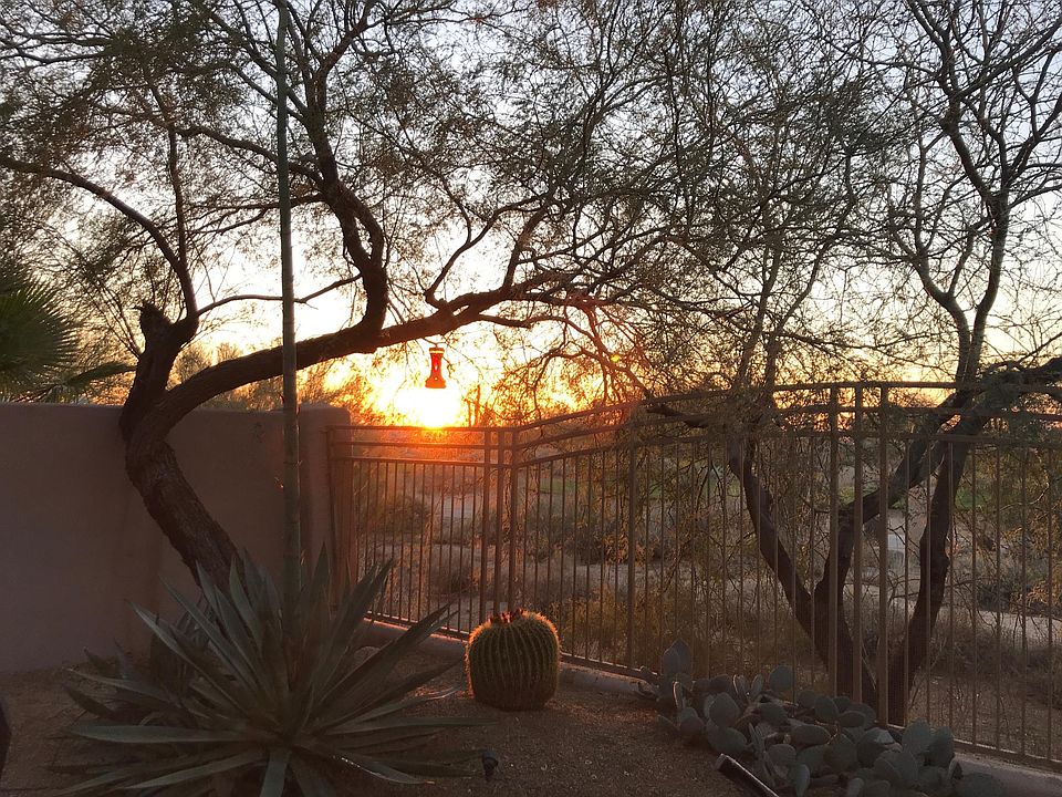 Perfect evening sunsets!