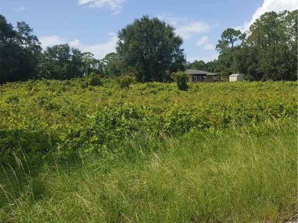 379 Sheppard Rd NW, Lake Placid, FL 33852