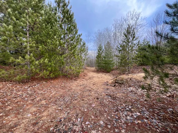 0 Nyrkkanen Rd, Kaleva, MI 49645