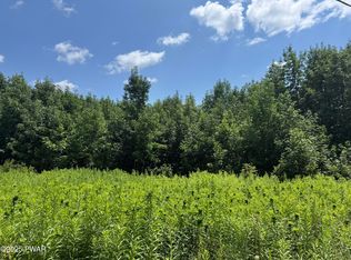 Daw Rd, Pleasant Mount, PA 18453