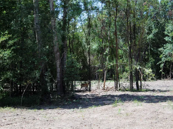 15/ACRE S Greenbriar Rd, Madisonville, TX 77864