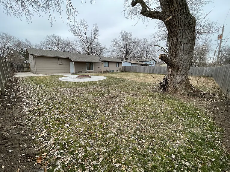 Backyard view from NW Corner