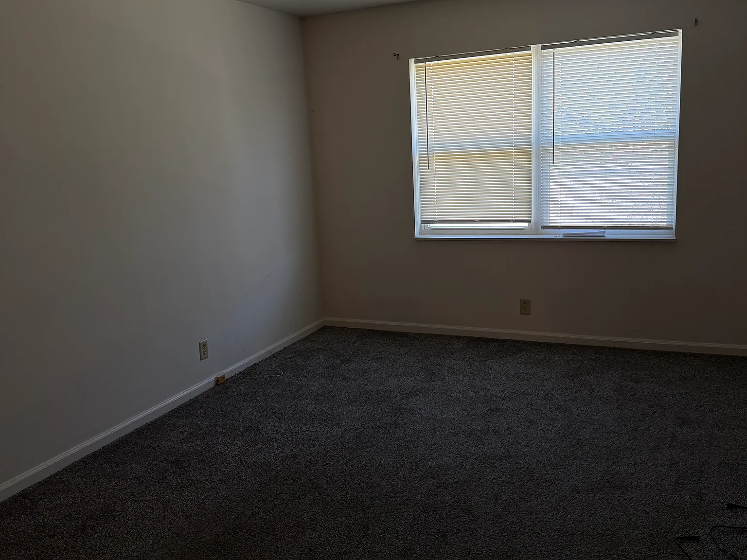 430 Lark Ct — Photo 3