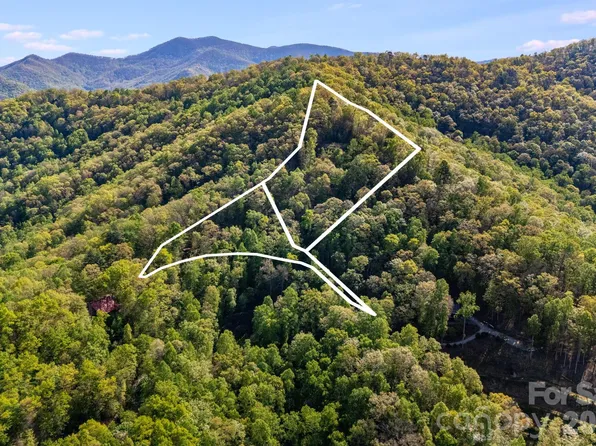 785 & 841 Laurel Springs Dr, Bryson City, NC 28713