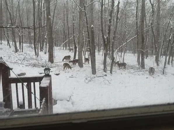 21 Pendragon Ct, Paw Paw, WV 25434