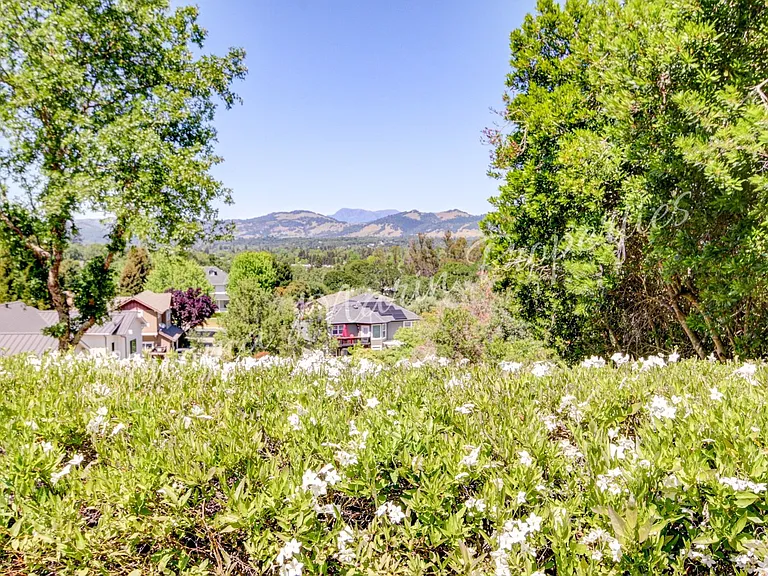 4626 Bennett View Dr — Photo 9