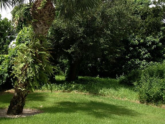 back yard comon area