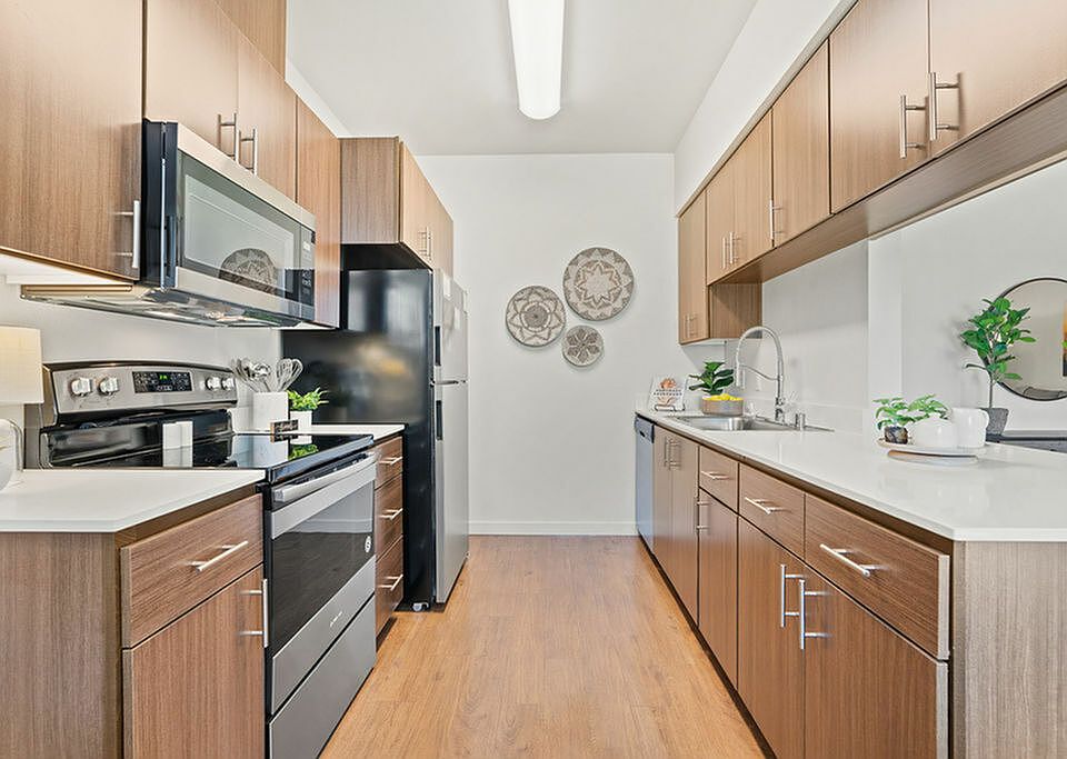 Modern Kitchen