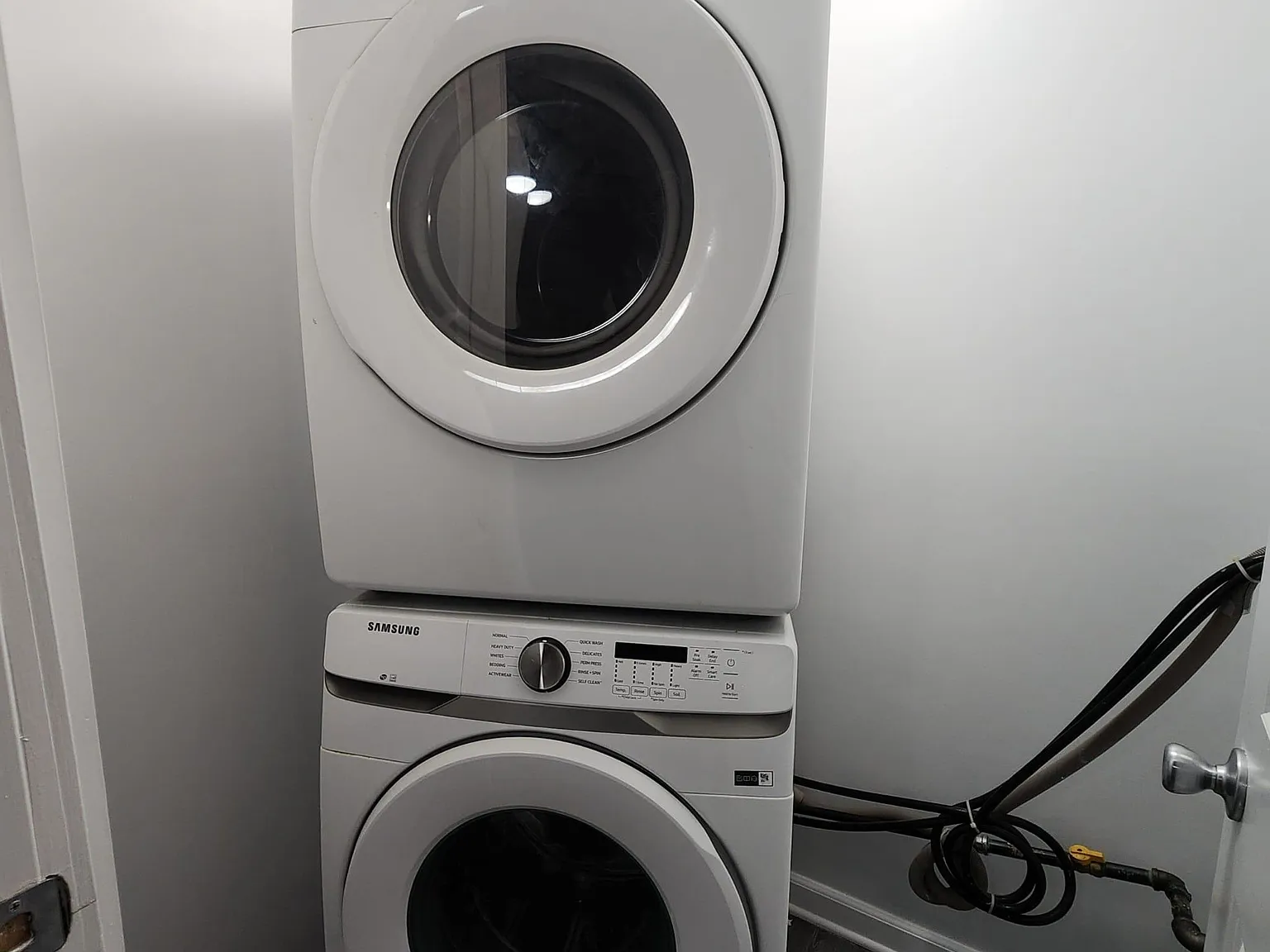 2 bed, 1.0 bath, $1,850 — Photo 4