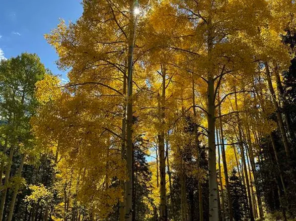 15050 145 Highway, Rico, CO 81332