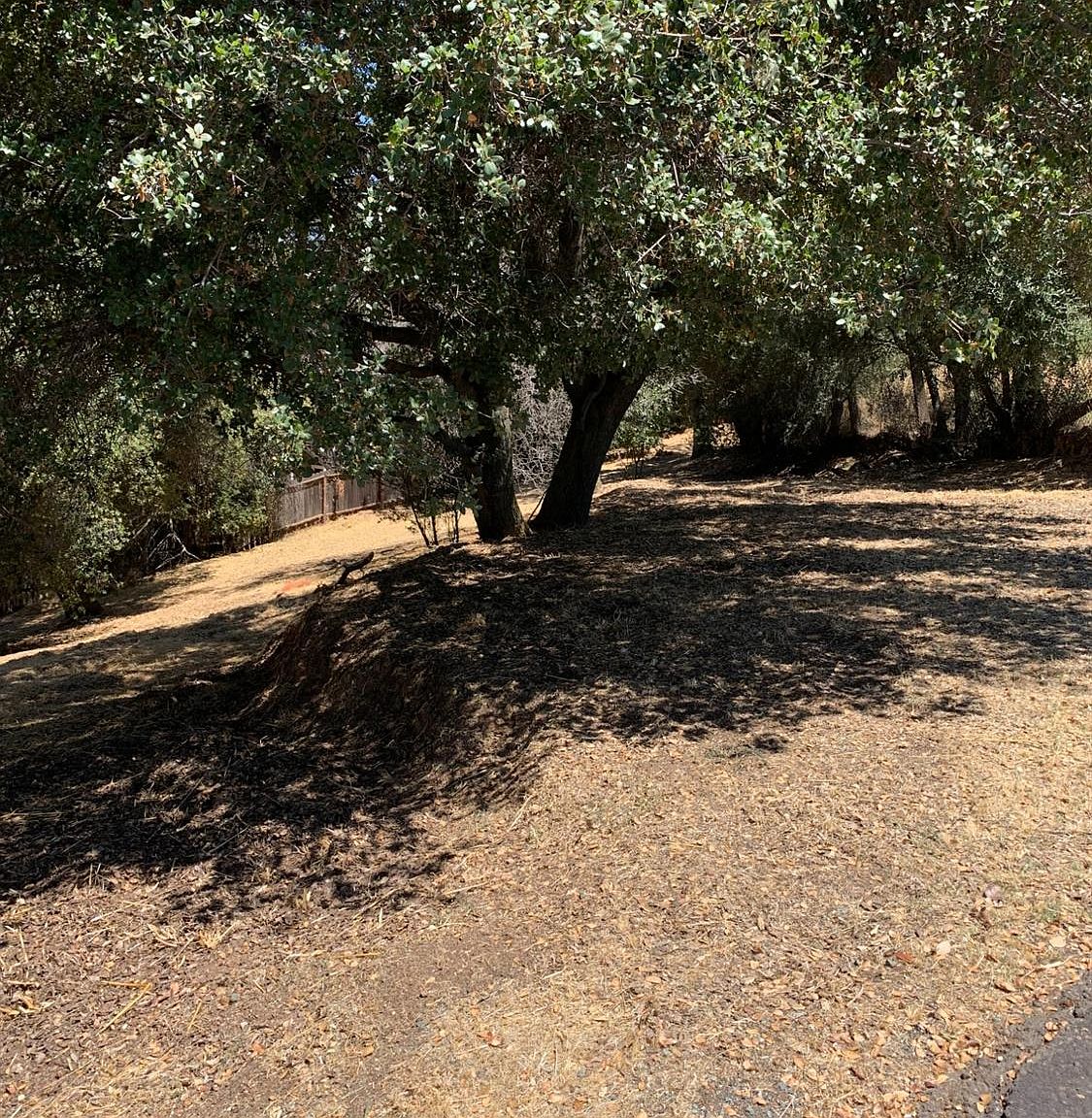 311 E Washington St, Ione, CA 95640 MLS 223076019 Zillow