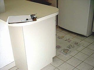 4th image of 1083 Forest Lakes Dr #6101