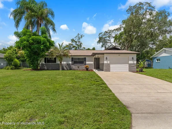 2357 Giovanni Ave, Spring Hill, FL 34608