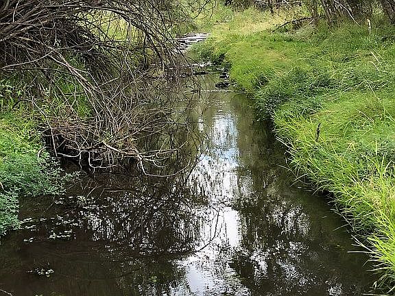 3rd image of 993 State Highway 35