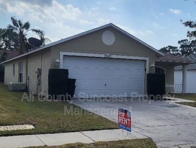 620 Sandy Hills Ave, Tarpon Springs, FL, 34689